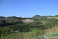 VBS_5663 - C'è un mare di velluto verde! E tu che sognavi di andare lontano... Quanta meraviglia, quì!